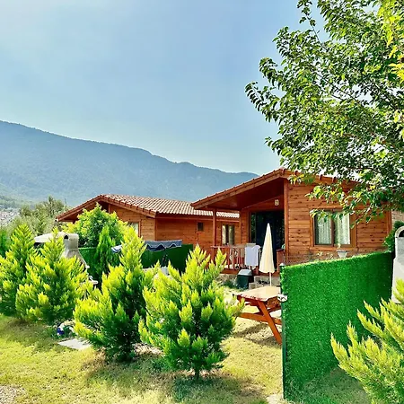 Aparthotel Hurmalik Evleri-very Close To The Sea Large Garden With Barbecue And Swing *